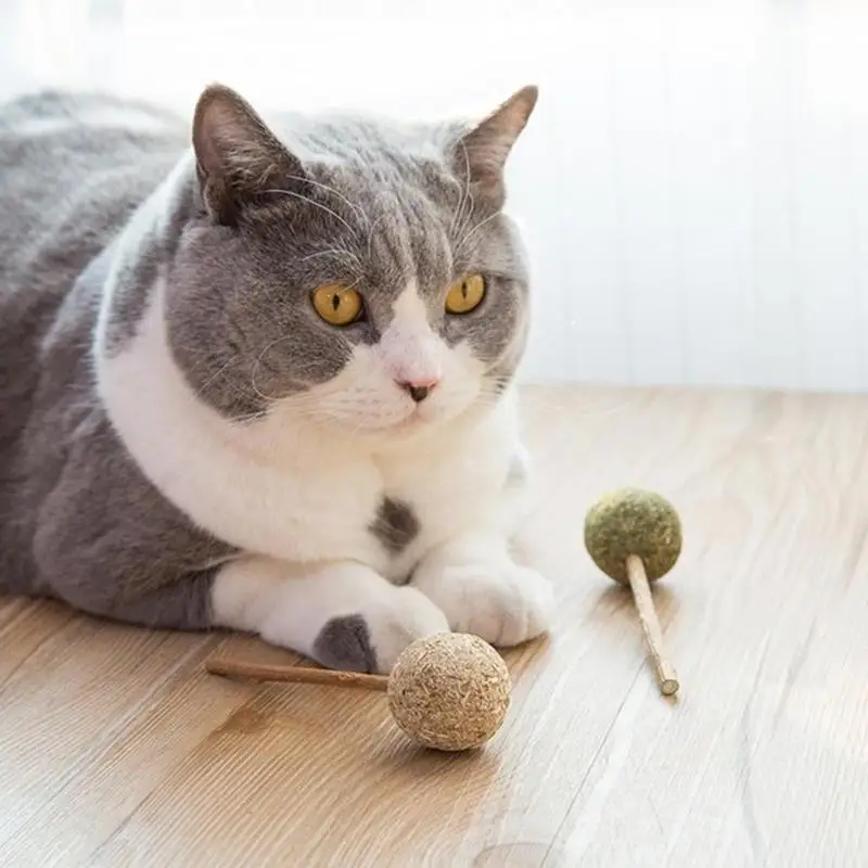 Мячик для питомца кошачьей кошки леденец с палкой игрушка для кошки чистка зубов лакомства котята коты любовь игральные игрушки