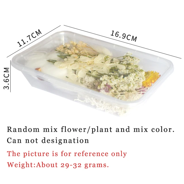 1 Box Real Dried Flower Dry Plants For Aromatherapy Candle Epoxy Resin Pendant Necklace Jewelry Making Craft DIY Accessories 5