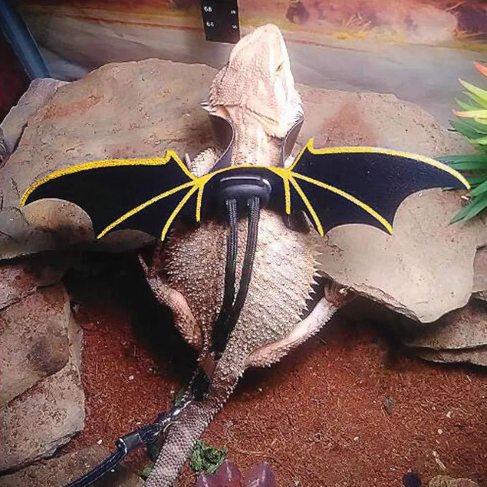 Adjustable Reptile Lizard Harness Leash Pet Lizard Funny Chest Harness Leash Small Animals Collar Small Reptile 2