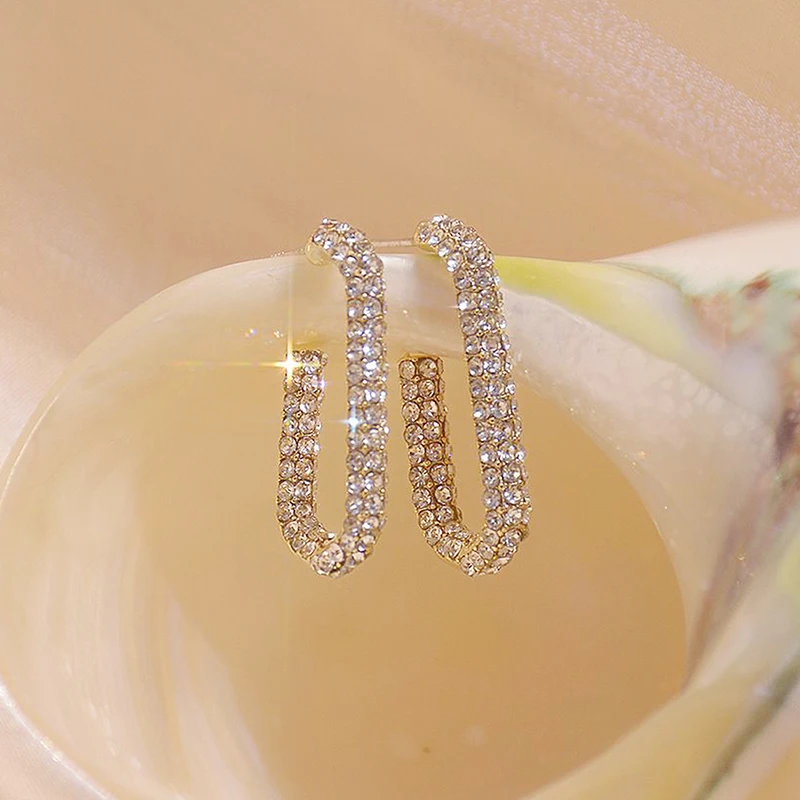 Hot Design Exquisite Super Shine Inlaid CZ Earring for Women Cubic Zirconia Temperament Stud Earrings Accessories Pendant Gift - Image 5