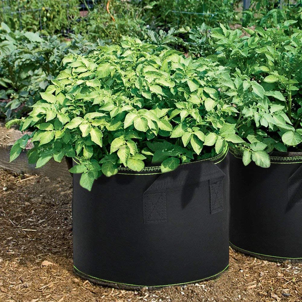 Details about   6 Sizes Black Thickening Fabric Pot Plant Pouch Root Container Plant Grow Bag 