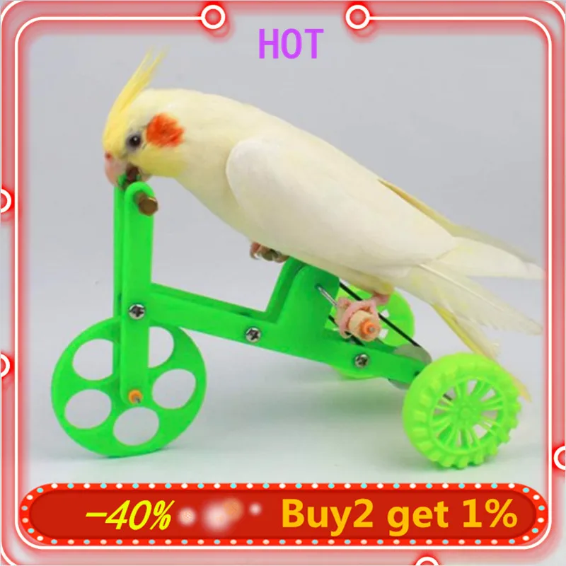 Juguete divertido interactivo para entrenamiento de loros y aves, accesorios educativos