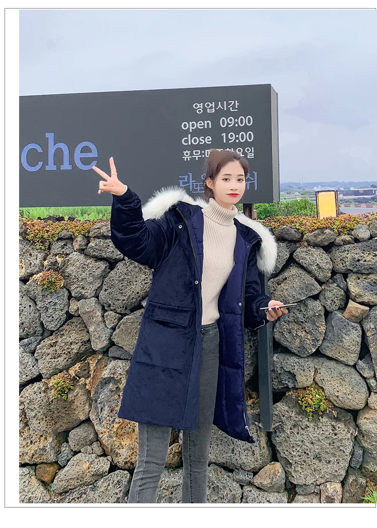  pleuche cotton1_02.jpg