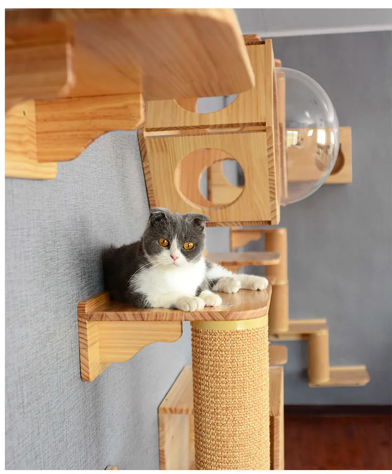 Каркас для скалолазания для кошек, домик на дереве, деревянная платформа для прыжков котенка, мебель для домашних животных, домик на дереве, игрушки для кошек, игровой дом, настенный