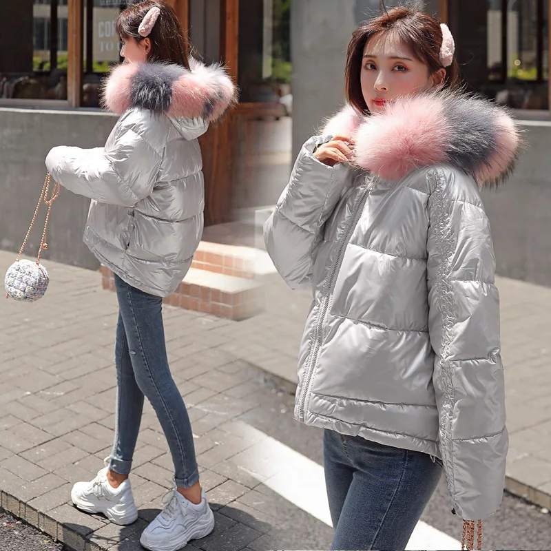 Autumn and Winter New Down Cotton Coat Fashionable and Loose-collared Women's Pure Color Zipper Leisure Down Jackets