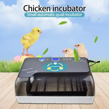 

12Egg Multi-function Farm Hatchery Machine 110/220v Chicken Automatic Duck Egg Incubator Hatcher Quail Brooder 325x210x120mm