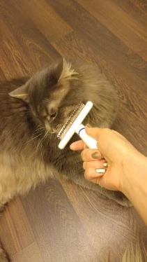 SUPREPET 1 Psc машинка для стрижки домашних животных расческа для ухода за кошками щетка для стрижки волос инструмент для стрижки длинных волос белая щетка для домашних животных