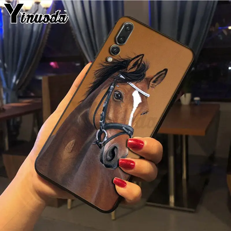 Hot running Horses animal