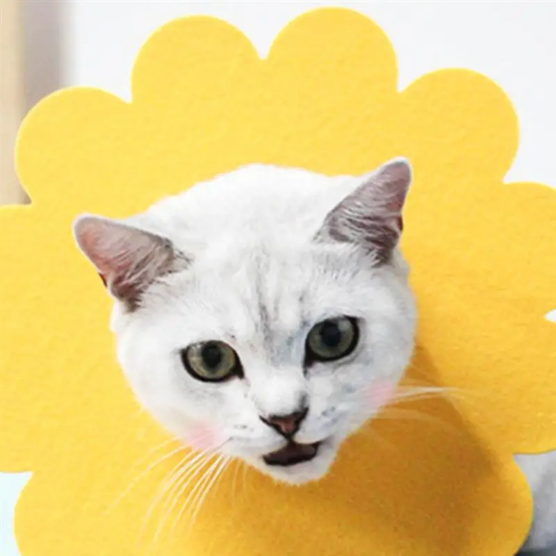 5pcs Pet Cat Collar Sunflower Recovery Felt Collar Anti-Scratch Protective Elizabethan Collar For Cat Kitten 5pcs Pet Cat Collar Sunflower Recovery Felt Collar Anti-Scratch Protective Elizabethan Collar For Cat Kitten