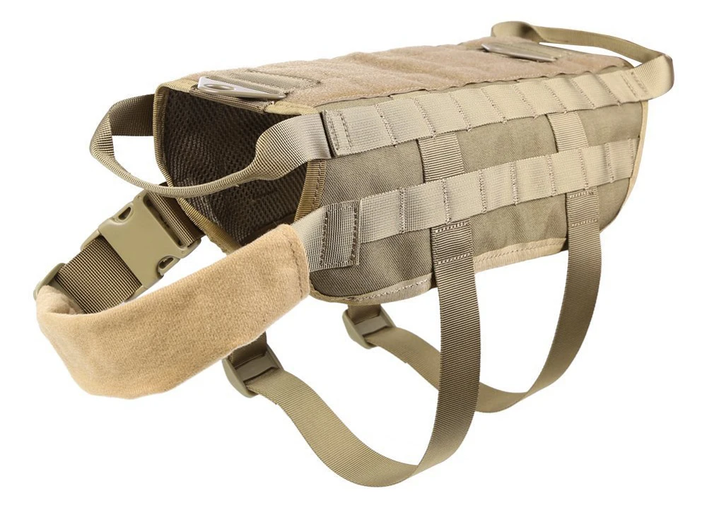 5566659591_1312717047