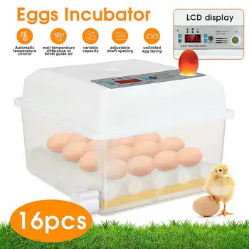 

Farm Hatchery Incubator Brooder Machine Automatic Chicken Egg Incubator Hatchery Equipment 16 Eggs Intelligent Incubator
