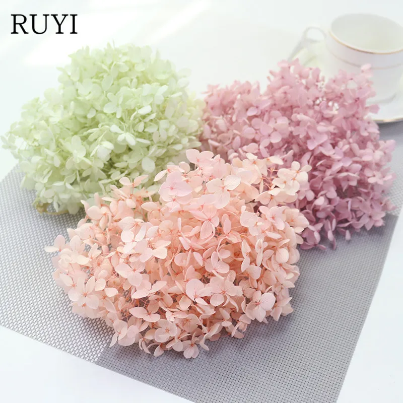 

High grade Natural Fresh Preserved Flowers Everlasting Hydrangea Flower Head For DIY Real Eternal Life Flowers Material 3g/lot