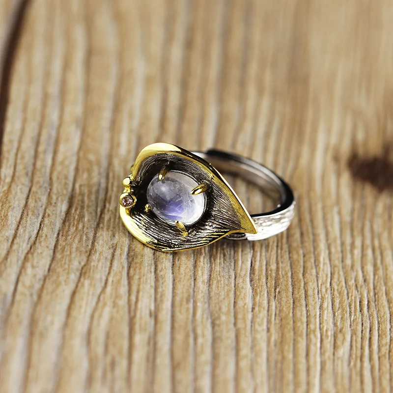 3774861956_1002566014