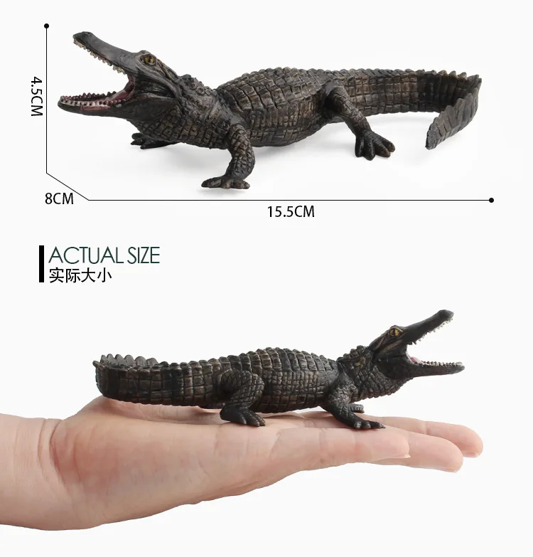 9004146511_1793268619