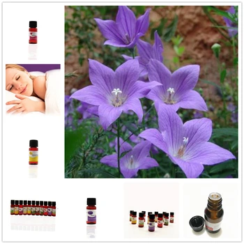 

Plum Blossom Fragrance Aromatherapy Essential Oils for Aromatherapy Diffusers Flower Essential Oil 100% Nature