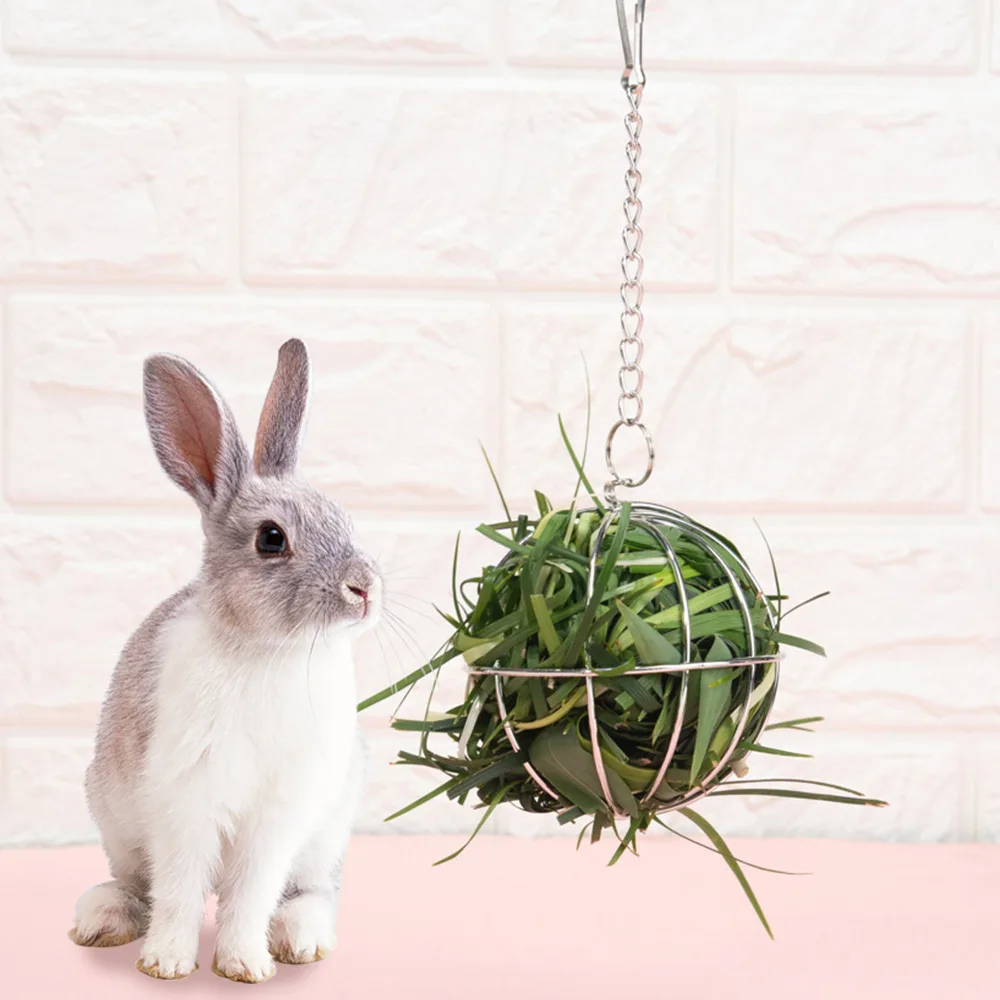 rabbit exercise toys