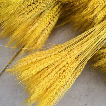 

50pcs High Quality Small Wheat Dried Flower Wedding Decoration Props Rice Reed Imitation Flowers Artificial Flower Filming Props