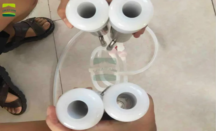 微信图片_20190823102757_meitu_1