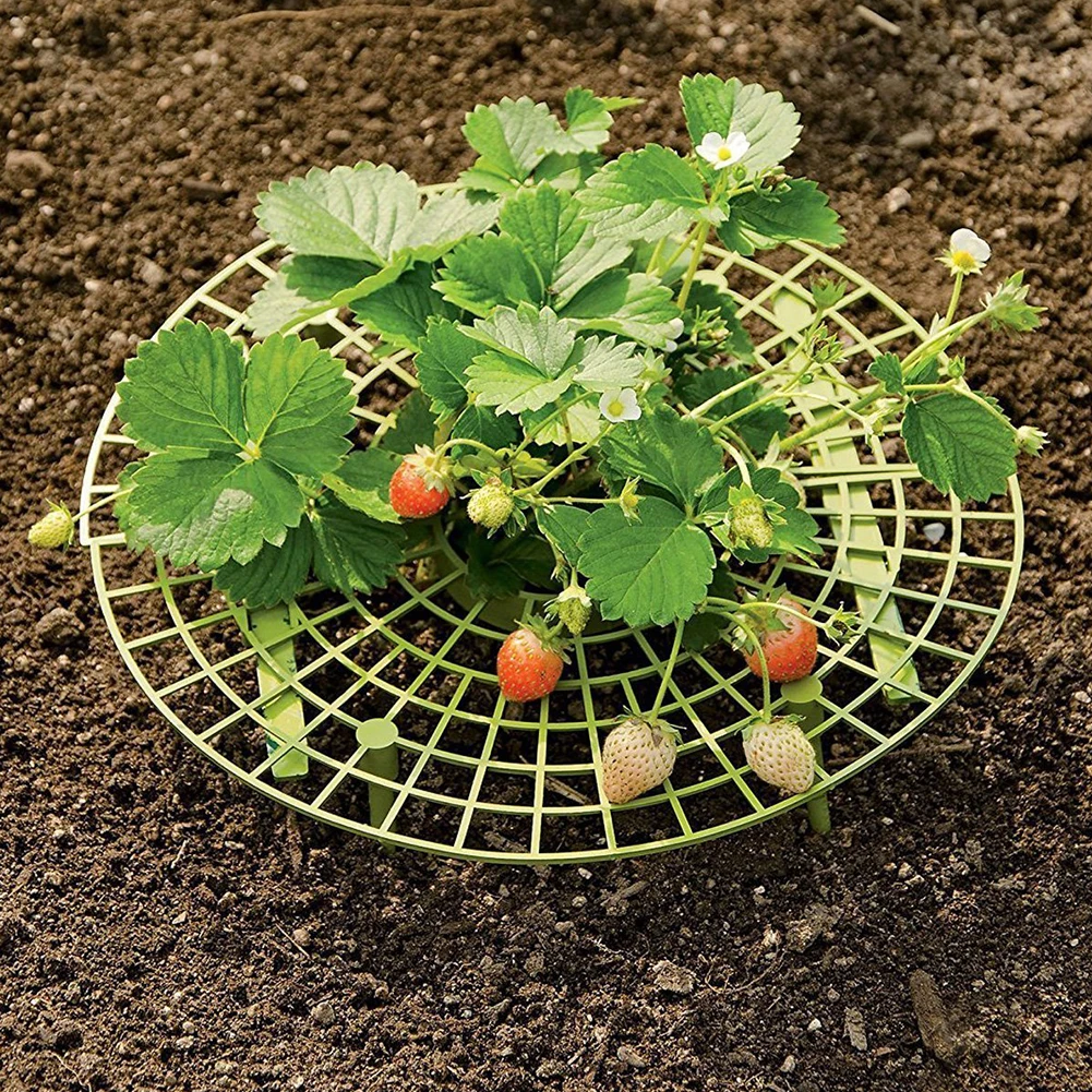 5Pcs Frame Circle Plant Removable Lightweight Plastic Avoid Rot Keep Clean Support Rack Strawberry Growing Improve Harvest Tool