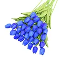 Image 22