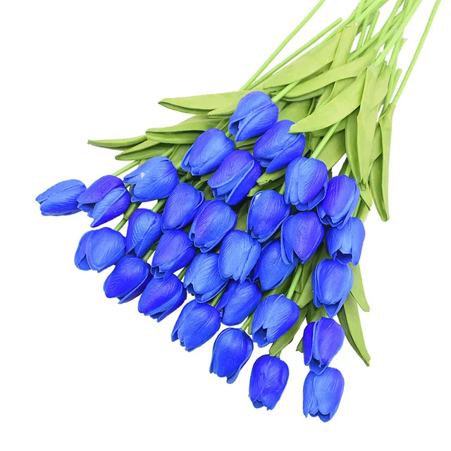 Image 22