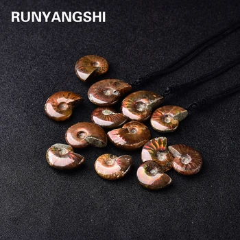 

Spotted Conch Fossil pendant Snail Lucky Snail Ornaments Natural Iridescent Facet Specimen Fossil Madagascar Necklace