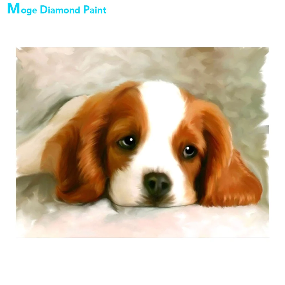 Алмазная живопись King Charles Spaniel животное собака круглая полная вышивка мозаика для творчества крестиком 5D