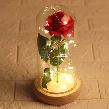 

Romance Eternal Life Flower Glass Cover Beauty and Beast Rose LED Battery Lamp Birthday Valentine's Day Giftfriend Mother Gifts