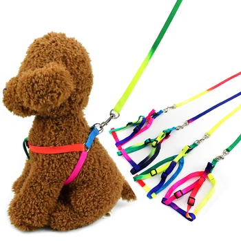 

Rainbow Pets Collar Retractable Colorful Dog Harnesses Leads Nylon Puppy Leashes Dogs Cats Daily Walking Durable Traction Rope