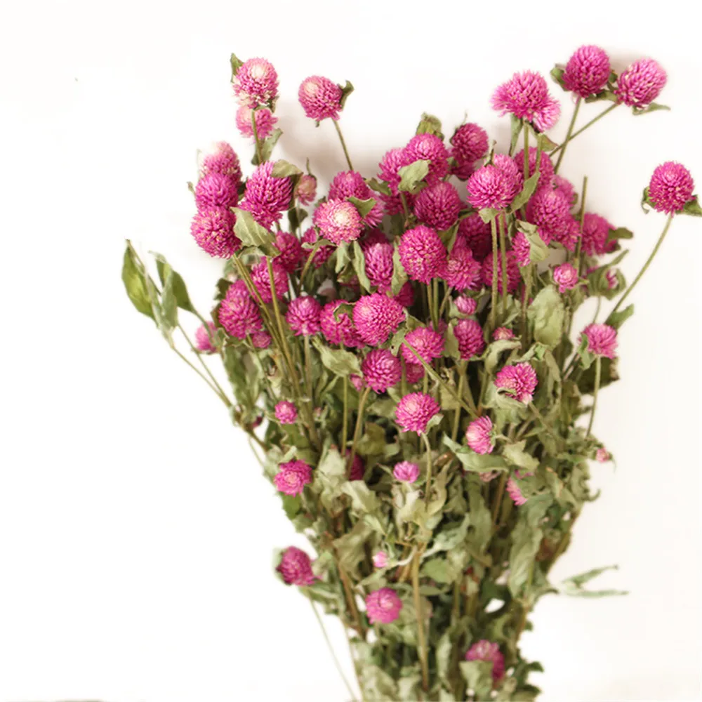 15pcs Pink 15pcs Mixed color christmas decor gomphrena bouquets dried natural flower bunch - Цвет: 15pcs Pink