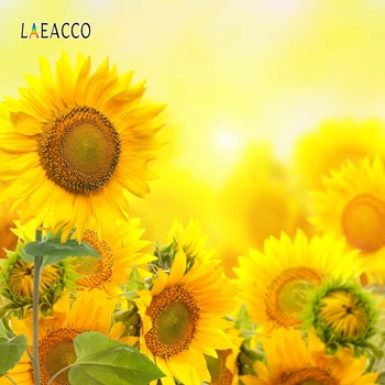 

Laeacco Photography Backgrounds Sunflowers Sunshine Photo Backdrops Baby Shower Photophone Birthday Photozone Newborn Photocall