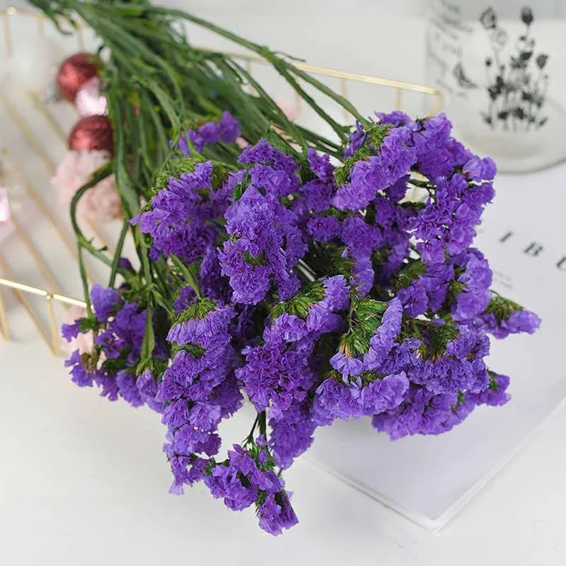 Flores secas frescas naturales de 60g, no Me olvides, flores preservadas,  rama para el hogar, boda, sala de estar, decoración de Navidad|Flores  artificiales y secas| - AliExpress