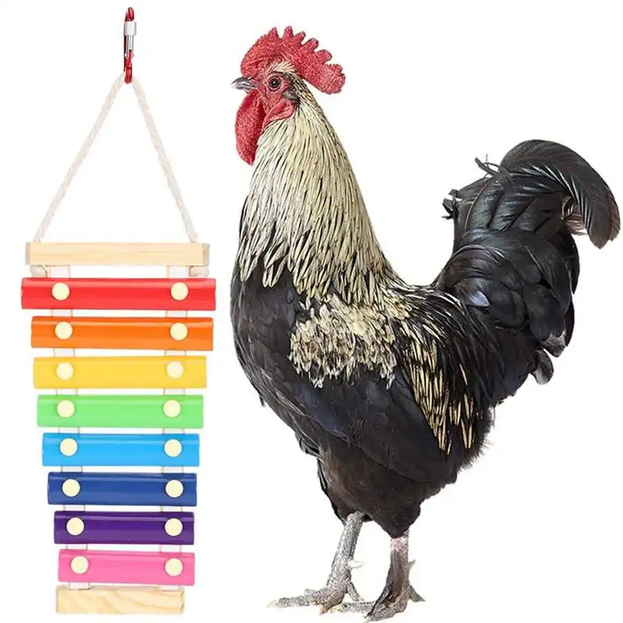 Chicken Sound Toy Parrot Rooster Pecking Xylophone Toy Decor With Different 