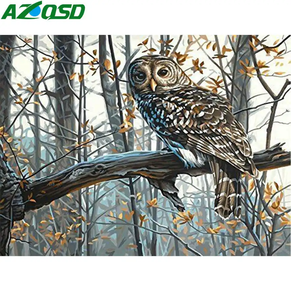 AZQSD Coloring By Numbers Owl Kits Drawing Canvas HandPainted Pictures