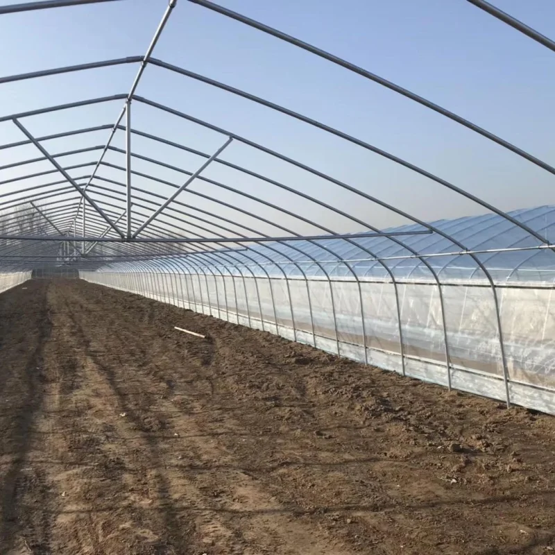 Greenhouse Plastic tube steel frame greenhouse structure gi steel pipe 8M*30M