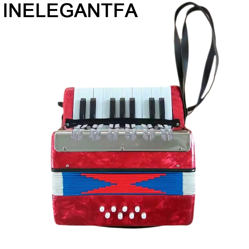 Musique Musica Akordeon Teclado Alat Musik Melodica Music Profesional Instrument Acordeon Piano