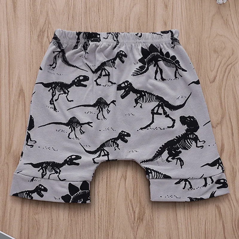 

EBay AliExpress Hot Selling Baby Summer Childrenswear Shorts Dinosaur Printed Elasticity Shorts Xh048gy