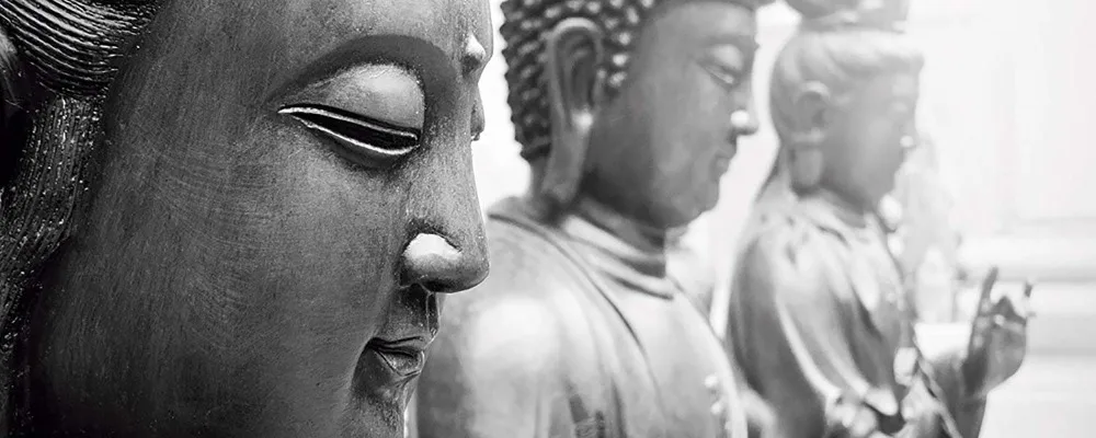 5d4d8332c7031d5ea7d21d82-1-original