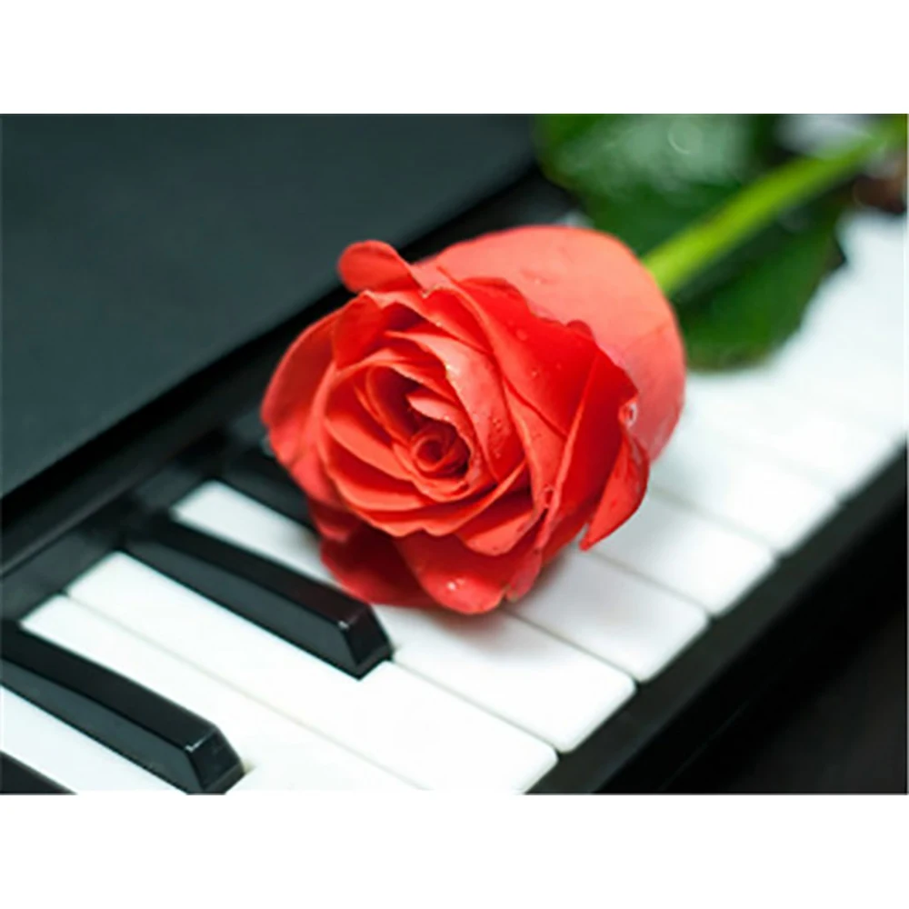 GATYZTORY 5D Diamond Painting Full Square DIY Home Decor Mosaic Rhinestone Picture Custom Wall Art Canvas Gift Rose and Piano | Дом и сад