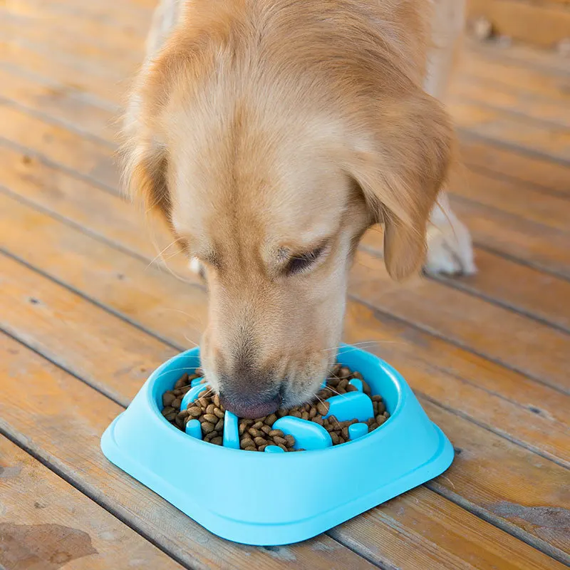 2pcs Slow Feeder Pet Bowls, Anti-choke Interactive Dog Puzzle Bowl,  Suitable For Small Dogs And Cats, Random Color