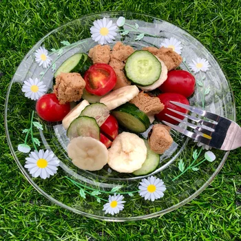 

1Pc Fashion Daisy Pattern Glass Dish Creative Glass Steak Pan Plate for Home