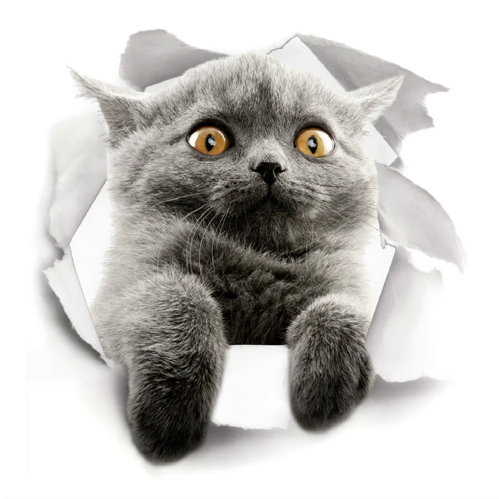 3D Наклейка на стену с изображением щенка и котенка украшение туалетный