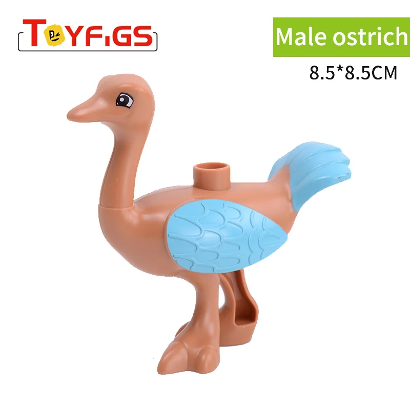 F4281--公鸵鸟--价格1.19