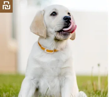 

Youpin New Essential oil deworming collar safety Isolation of mosquitoes Destruction Deworming For Cat dog Pet collar