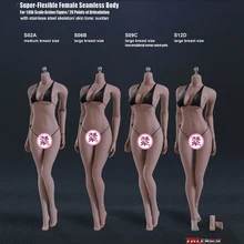 

S02A S06B S09C S12D 1/6 Super-Flexible Seamless Body With Stainless Steel Skeleton In Middle Breast Suntan Skin for 1/6 Head
