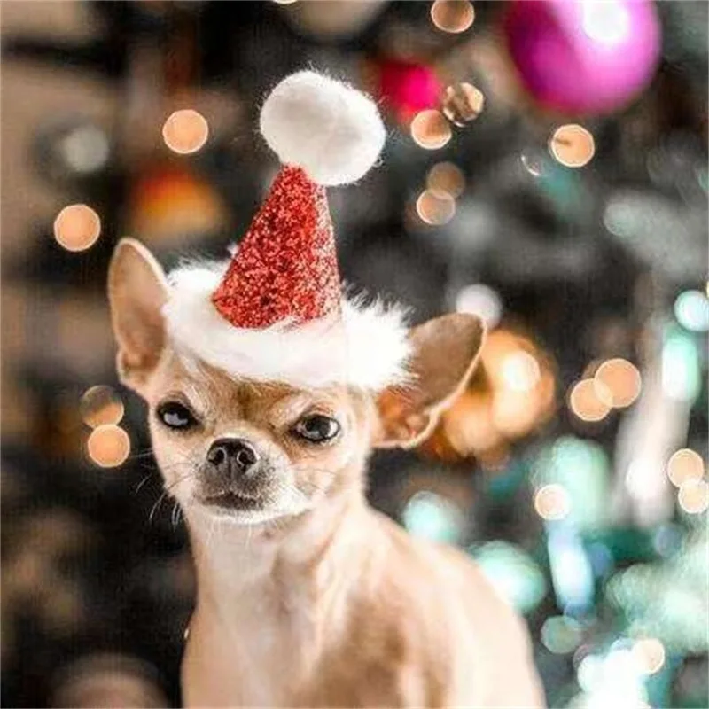 

Pet Dog Cat Christmas Headdress Pet Bow Tie Christmas Hat Caps Pet Santa Dog Cute Hat Bufanda Y Gorro De Navidad Para Perros