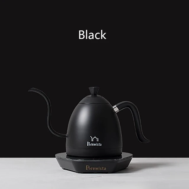 Brewitsa-Stainless Steel Electric Coffee Kettle, Gooseneck, Temperature  Control, 600ml - AliExpress