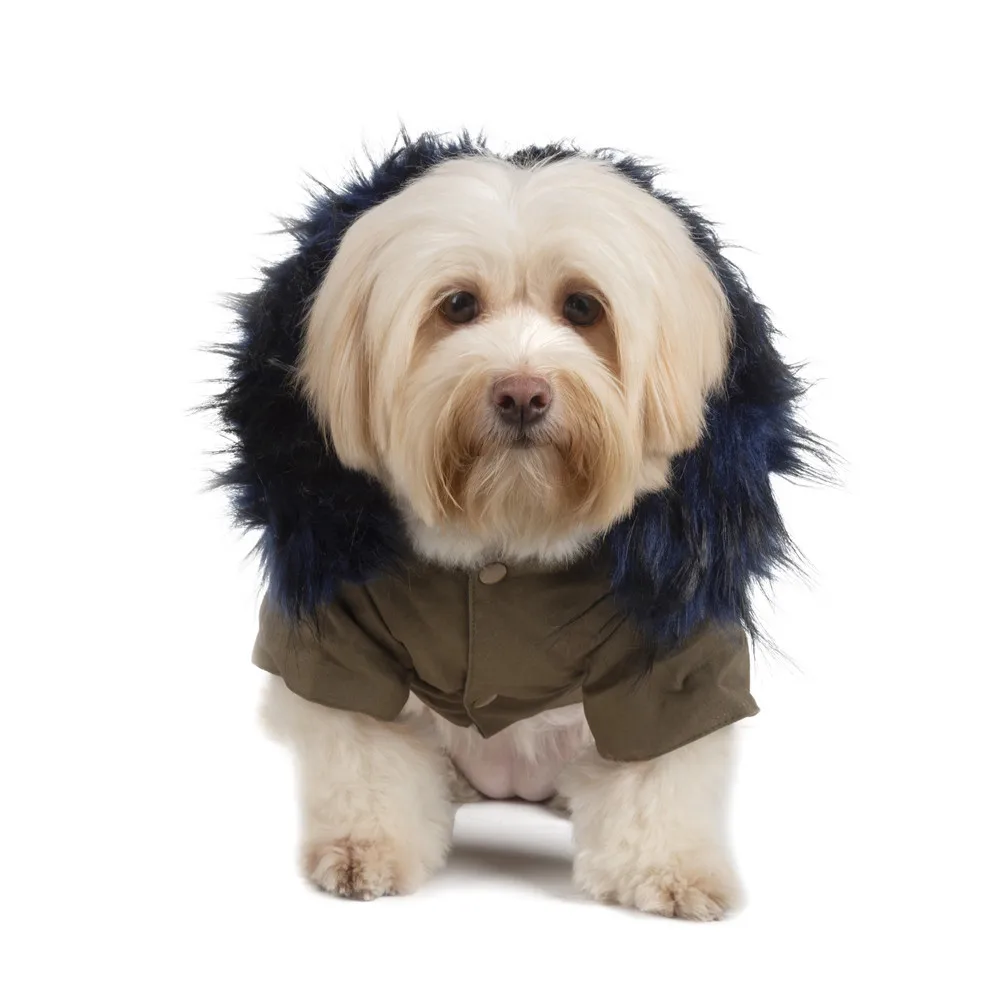 fur collar dog clothes (9)