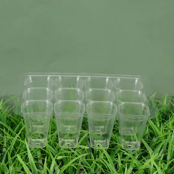 

12pcs Seedling Trays Seedling Box Seedling Tray Family Seedling Box With Plant Labels (6cps 12 Holes White Base Transparent Hole