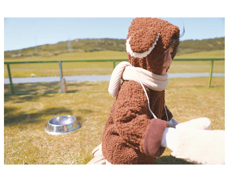 Осень-зима ; Новинка; шерстяная флисовая утепленная толстовка с длинными рукавами для маленьких девочек; детские мягкие Топы; одежда для детей